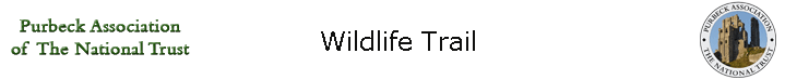 Wildlife Trail