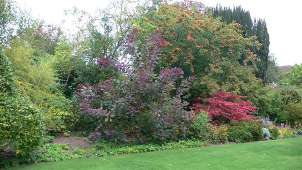BackGarden