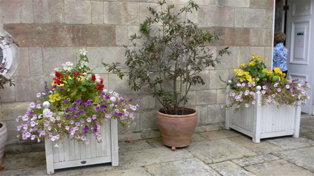 Terrace,'Arundells'