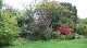 BackGarden
