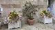 Terrace,'Arundells'