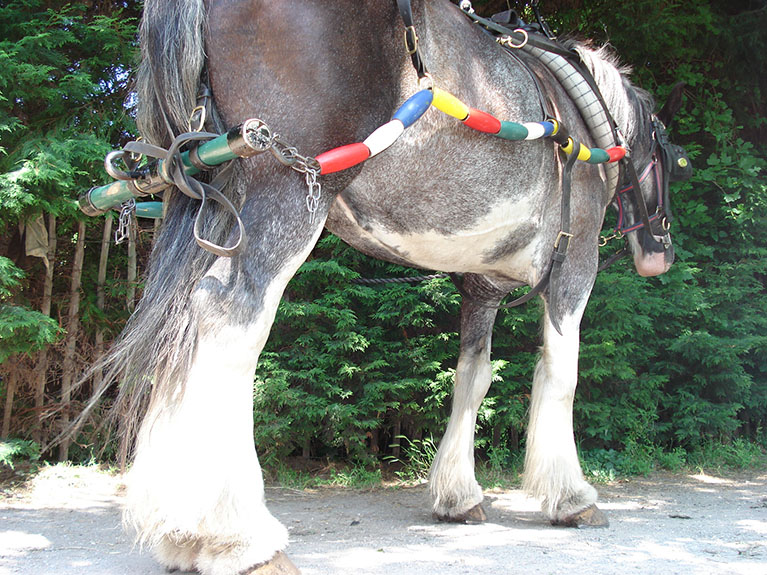 DSC00395