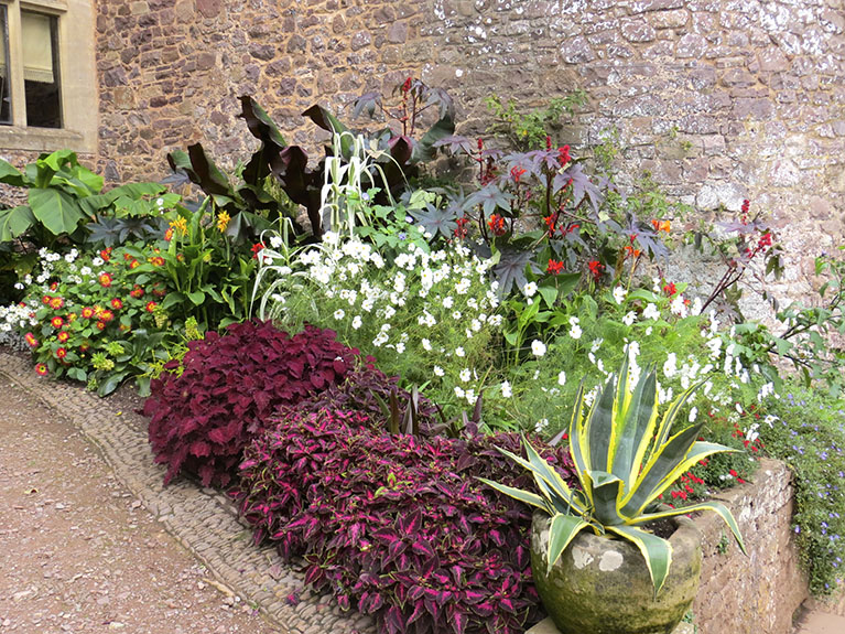 Dunster Day 2-31