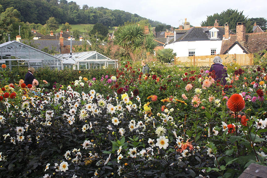Dunster Day 2-53