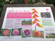 Dunster Day 2-52