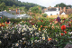 Dunster Day 2-53
