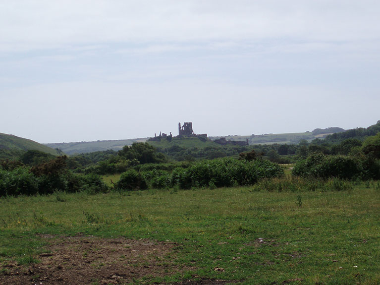 P6210006
