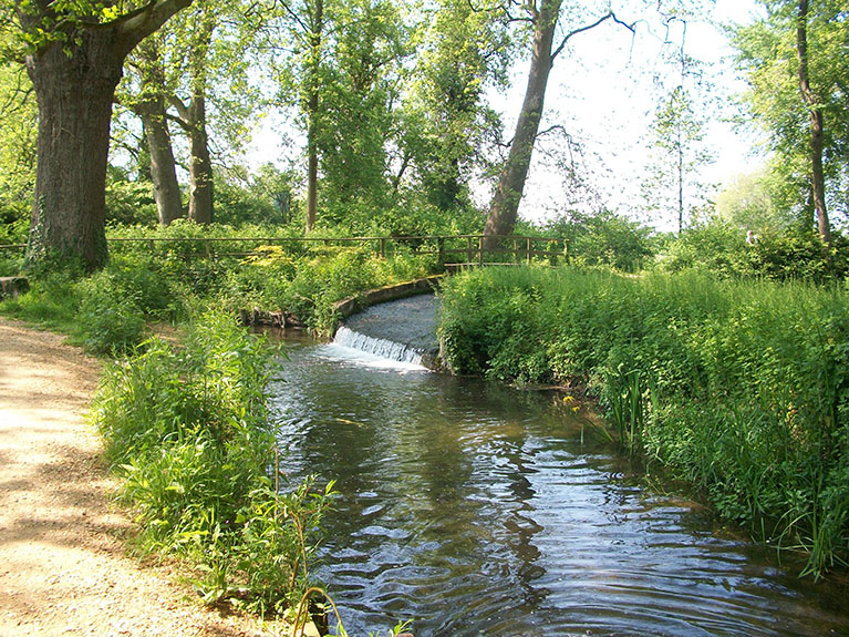 Mottisfont 2