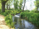 Mottisfont 2