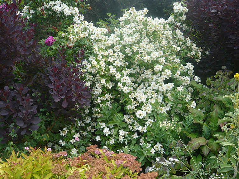 Parham House 2009 008