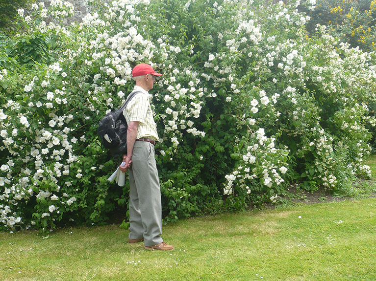 Parham House 2009 010
