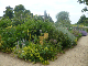 Parham House 2009 001