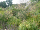 Parham House 2009 004