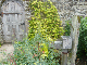 Parham House 2009 005