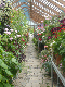 Parham House 2009 006