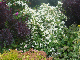 Parham House 2009 008