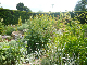 Parham House 2009 020