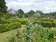 Parham House 2009 022