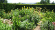Parham House June 09 007