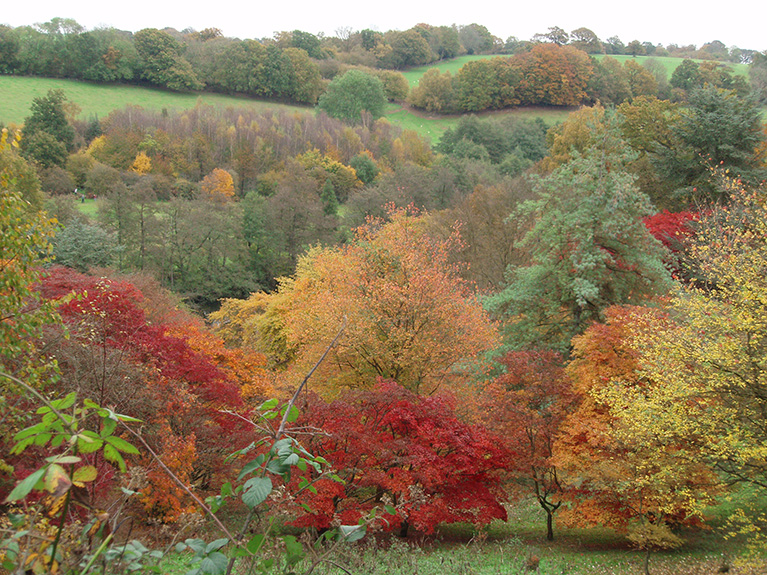 winkworth (10)