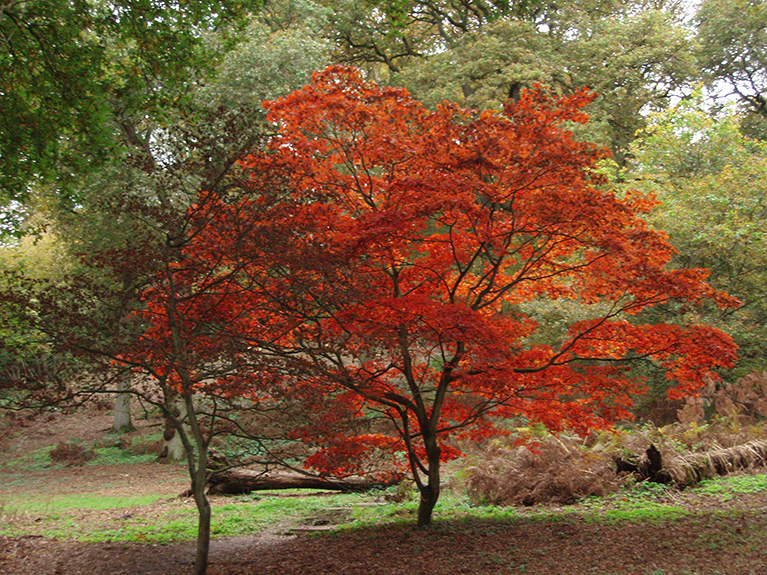 winkworth (35)