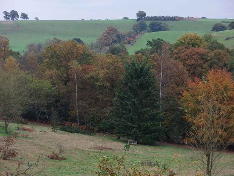 winkworth (51)