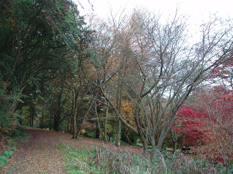 winkworth (62)
