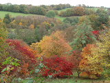 winkworth (10)