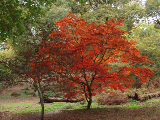 winkworth (35)