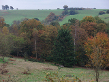 winkworth (51)