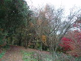winkworth (62)