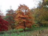 winkworth (63)